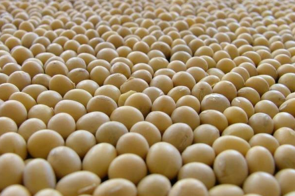 Turkey imported 2.6 million MT of soybeans and soybean meal in 2014, up   to 500,000 MT more soybeans will be needed when the new regulations  come  into place.