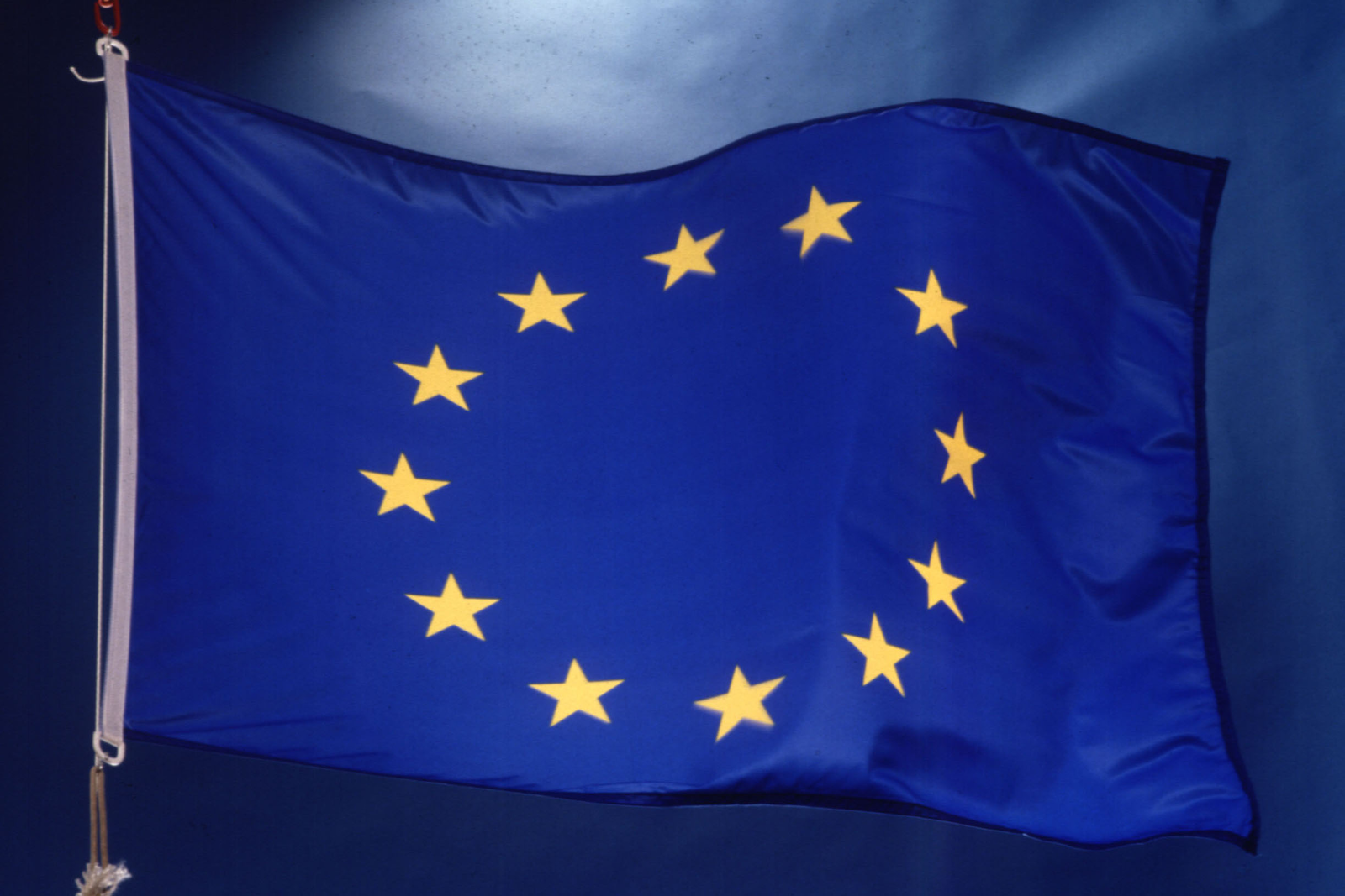 EU: 2015 compound feed up slightly on 2014 level