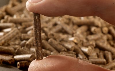 The 3 pillars of feed efficiency. Photo: Hans Prinsen