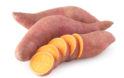 Qingdao Hongbo Import and Export