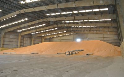 The tariff on corn imports from outside Mercosur is currently 8%, but Brazil will be suspending the import tariffs until the end of March 2021. Photo: fbvriz