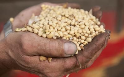 Belarus is Ukraine s top importer of feed components