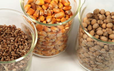 Format s diet formulation tool saves time and money