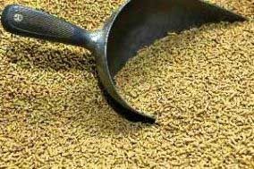 Large lysine plant to be built in Russia