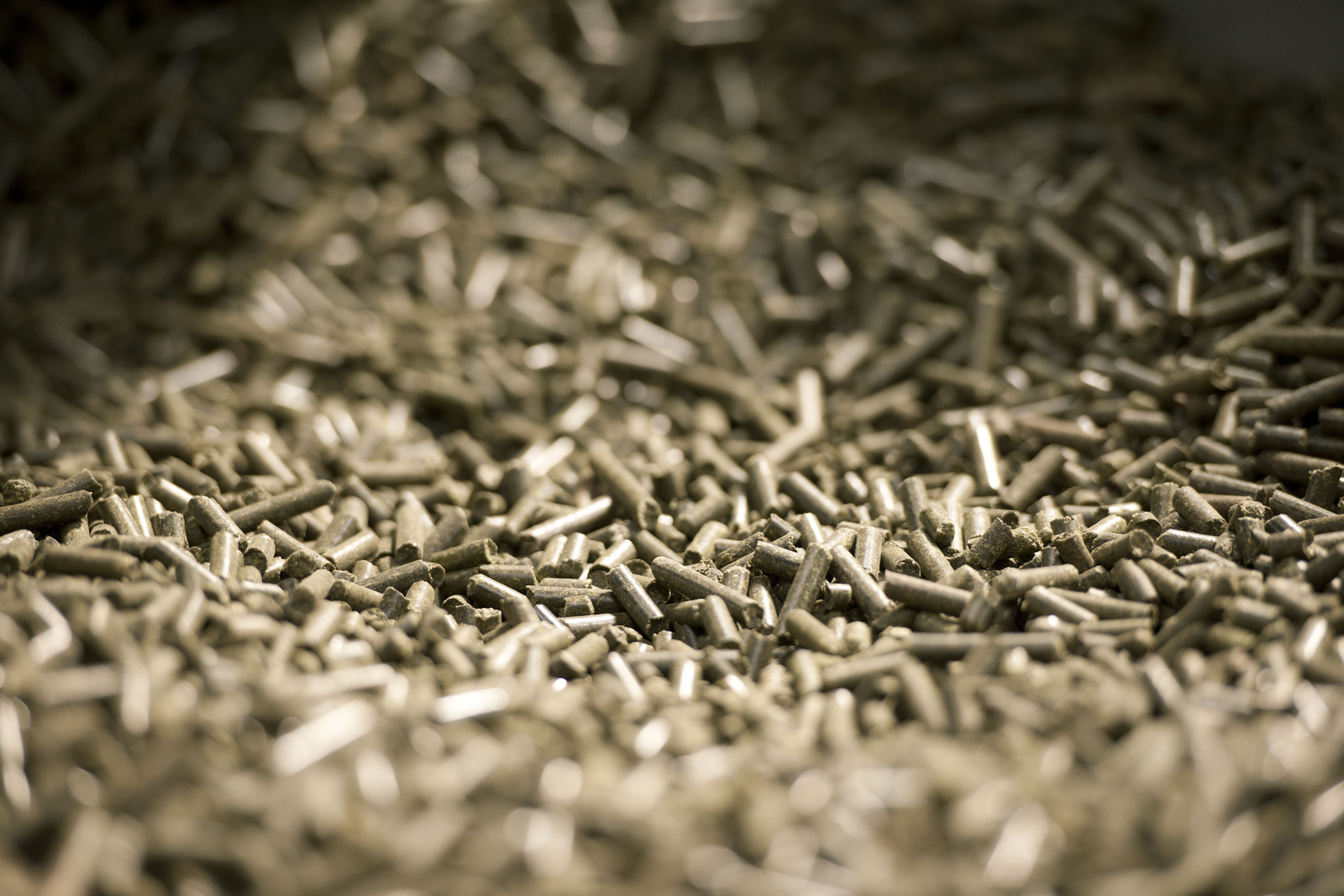 Belaya Ptica to construct large compound feed mill