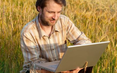 Weekly update on Feed Businesss. Photo: Shutterstock