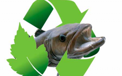 Canadian province to develop sustainable aquaculture