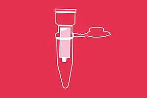 Product: Mycospin clean-up prior to mycotoxin analysis