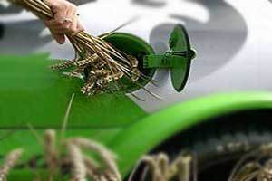 Biofuels in South Africa – where do we stand