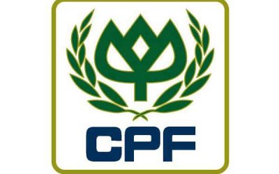 Company update: CP Foods Q2 2012