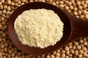 Indian NECC seeks ban on speculation in poultry feed