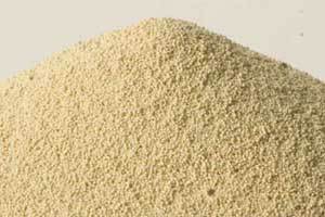 Serbia: SojaProtein opens new non-GMO facility