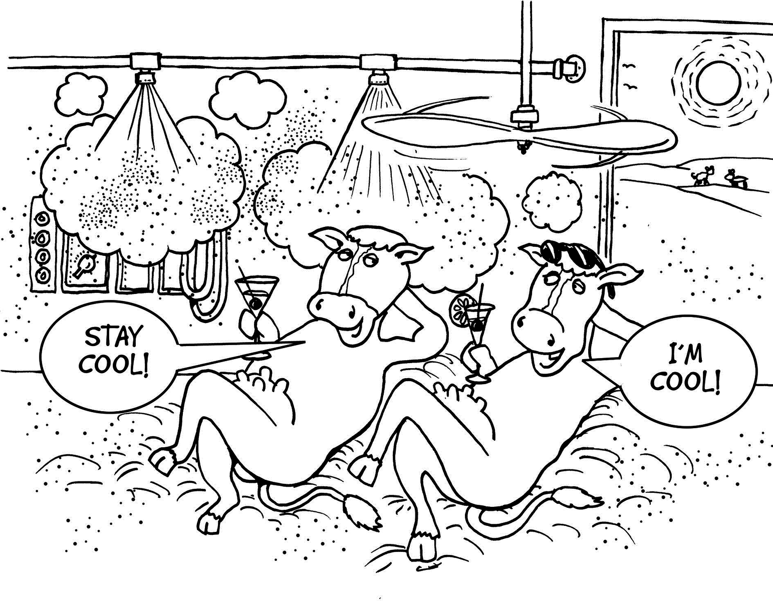 Cow management in the hot Israeli climate