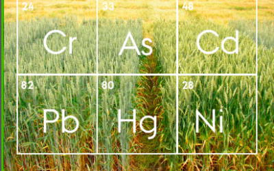 Study: Heavy metal content from inorganic fertiliser use