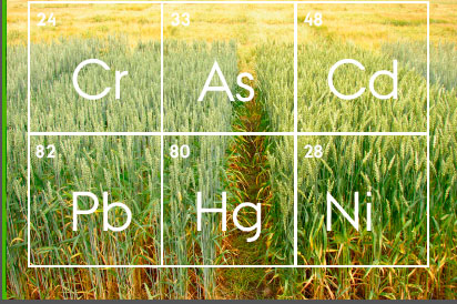 Study: Heavy metal content from inorganic fertiliser use