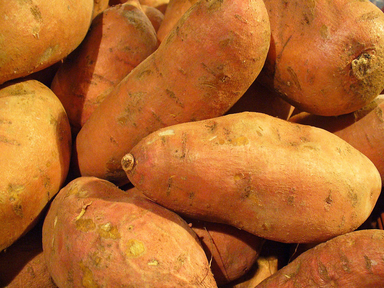 Sweet potato the new aquafeed
