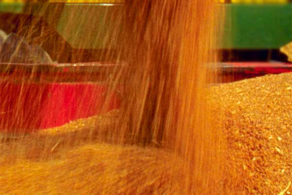 A continued two year fall expected in crop prices