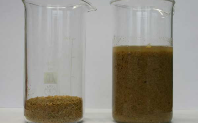 Hydrothermally treated fibre source for pigs