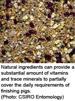 Vitamins and trace minerals: Back to basics