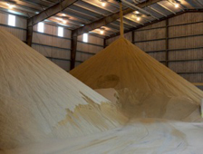 Video: All About Feed meets Kemin