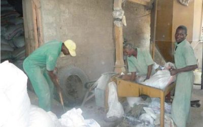 A lot to gain in small scale African feed management