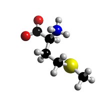 BlueStar to build methionine plant in China