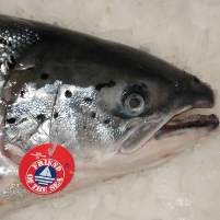 Italy: Rainbow trout certified sustainable