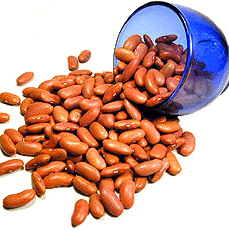 Lectin from beans for successful weaning