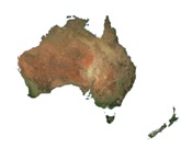 New report on Australian animal feed market