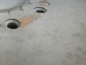 Pig feed plant fined for being too dusty