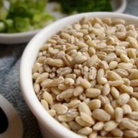 Animal feed used to make coffee substitute