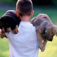 US spends $41 billion a year on pets
