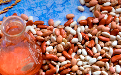 Re-visit basic vitamins - The way forward for optimum vitamin nutrition