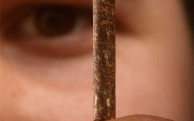 Enzymes make the pelleting process less power consuming