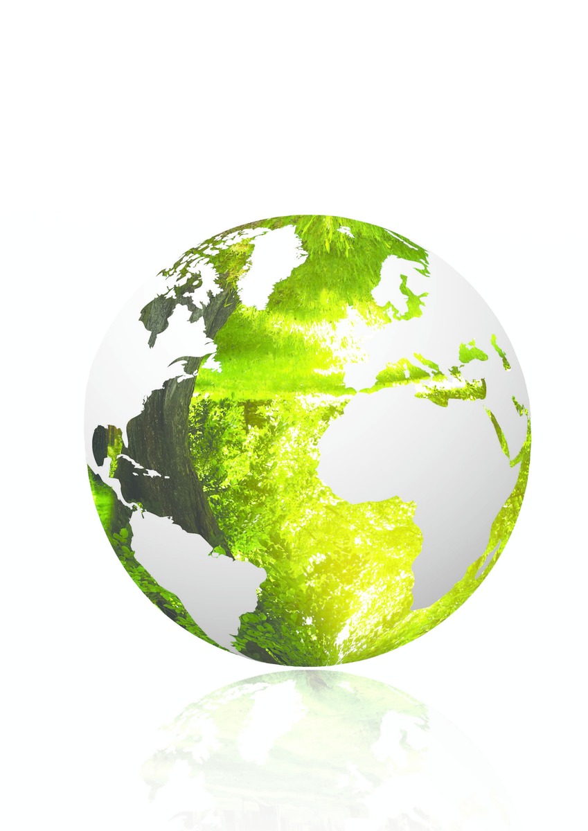 Global feed survey – Gaining in-depth knowledge