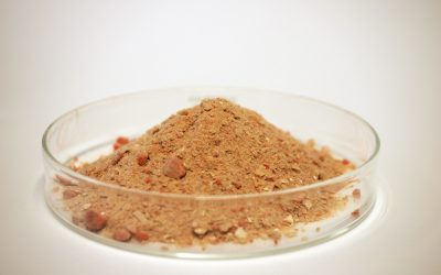 Converting methane gas into feed materials