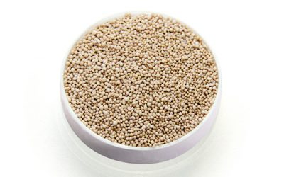 Live yeast: Ensuring its viability for optimal efficacy