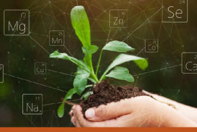 Photo: Alltech