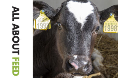 Introducing the 6th edition of All About Feed for 2022