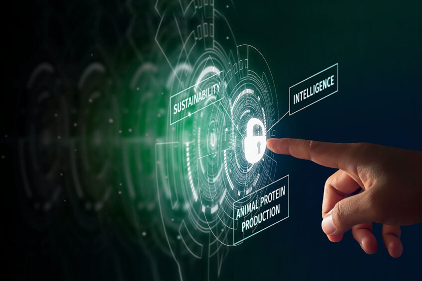 Feed additives, accurate data and nutritional science are foundational to making improvements and unlocking the value of sustainability of animal protein. Photo: DSM