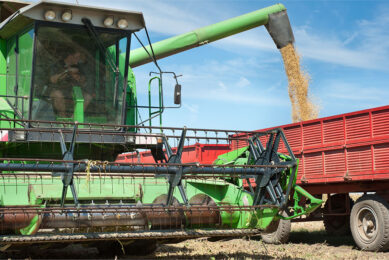 Looking further ahead at the soy market, a good harvest is expected in the South American countries. Photo: Canva