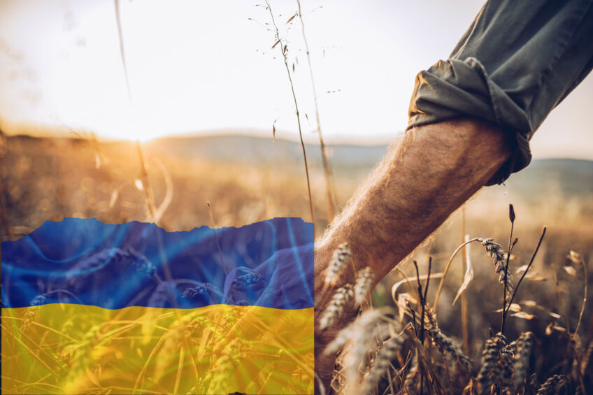"The work of companies in the agricultural sector is possible only in conditions of minimal confidence that qualified workers and managers will be available to work and organise the work every day," the Ukrainian Grain Association said.  Photo: Canva