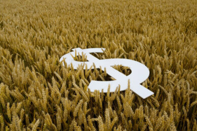 A smooth start to the winter wheat harvest in the United States is keeping the market under pressure. Photo: Canva