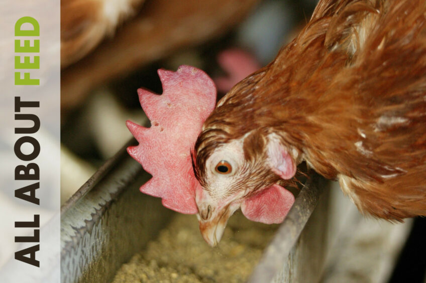 Mycotoxins in All About Feed 4