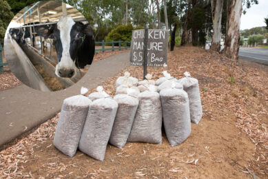 The practice of feeding chicken litter to cows in large-scale feedlots and dairies is banned in the United Kingdom, following the BSE epidemic, and in Canada but is allowed in the US. Photo: Canva