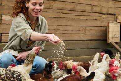 Sustainability in feed: biological efficiency and responsible sourcing