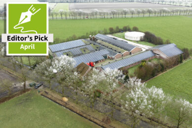 Liquid feed for pigs: A sustainable approach with local ingredients