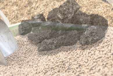 Using a patented process, Cvictus is focussed on extracting hydrogen from deep coal seams without mining, converting it to produce clean methanol and then, making SCP for use in livestock feed. Photo: Cana