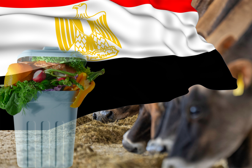 Egypt generates around 65 million tonnes of potentially useful waste per year. Photo: Canva