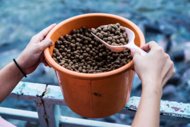 A study explored five alternative ingredients for aquafeed in Asia. Photo: Shutterstock